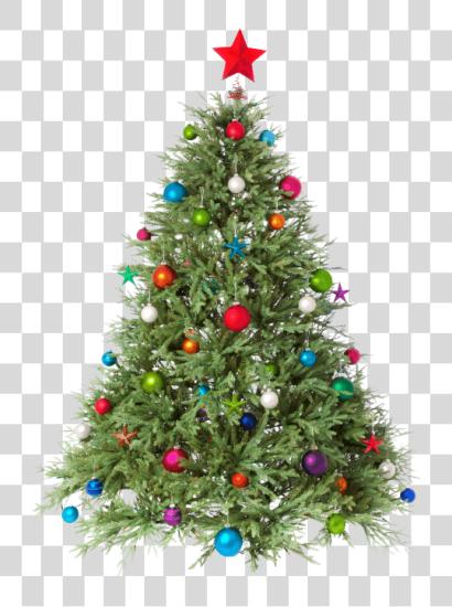 Download el Freshest Christmas Trees Christmas Tree PNG file