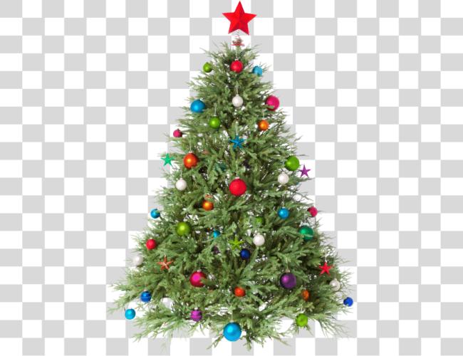 Download The Freshest Christmas Trees Christmas Tree Clip Art