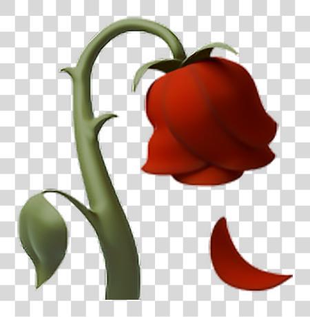 Download Rose Deadrose Flower Emoji Iphone Clip Library Library Iphone Dead Rose Emoji PNG file