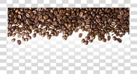 Download Seed Kopi café frijoles PNG file