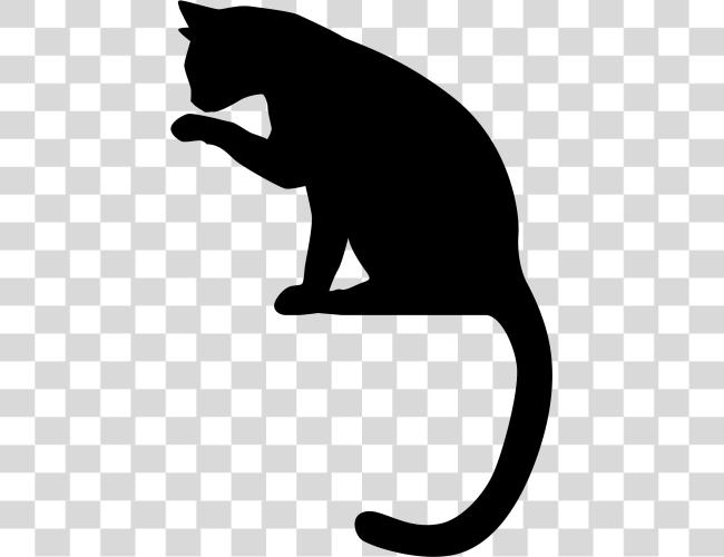 Download Cat Silhouette Siluetas De Gatos Clip Art