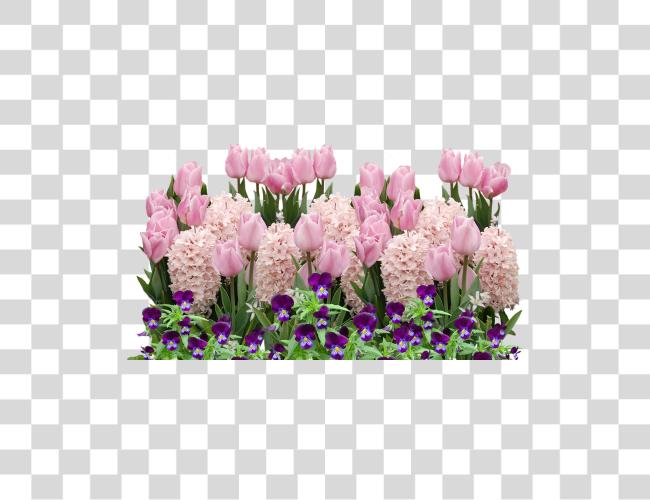 تحميل ربيع Tulips Easter زهرة زهور ربيع زهرة Easter زهور مقطوعة فن