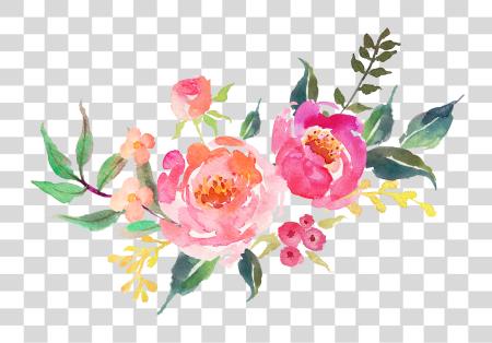 Download 2578 X 1758 108 Watercolor Flower PNG file