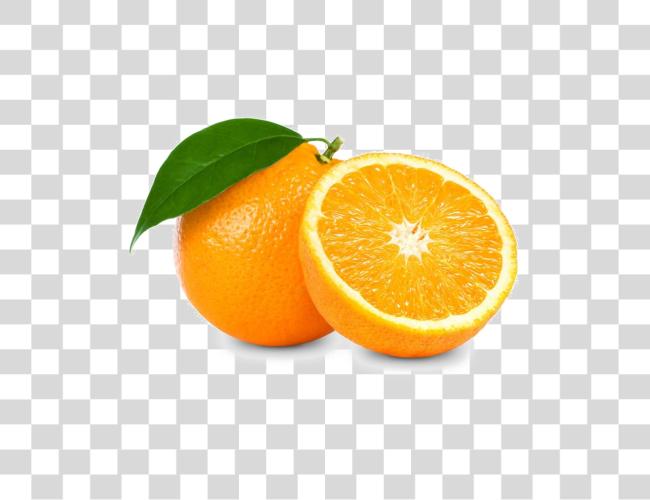 Download Orange Slice Orange Fruit Clip Art