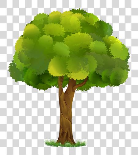 Download Tree Image Tree PNG file