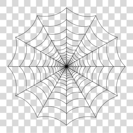 Download Spider Web PNG file