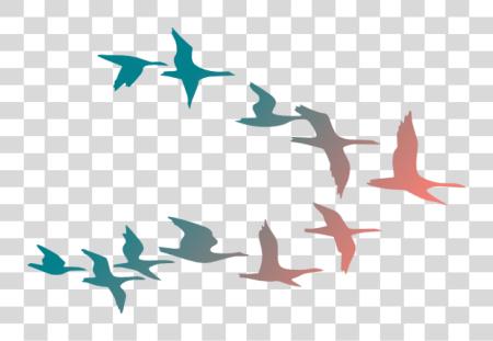 Download Colorful Flying Birds Colorful Flying Birds PNG file