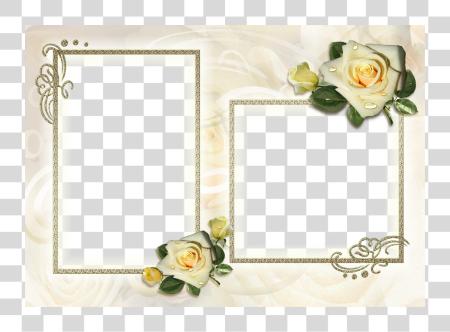 Download 2 Photo Frame PNG file