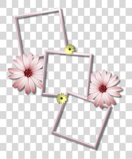 Download Collage Frame Picture Multiple Photo Frames PNG file