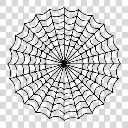 Download Spider Web Icon Spider Man Web PNG file