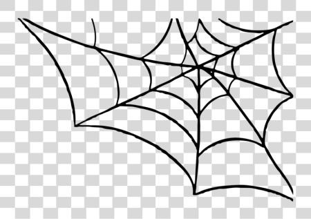 Download Spider Halloween Spider Web PNG file