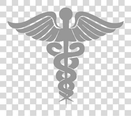 Download Black And White Medical Symbol Medical Symbol PNG file