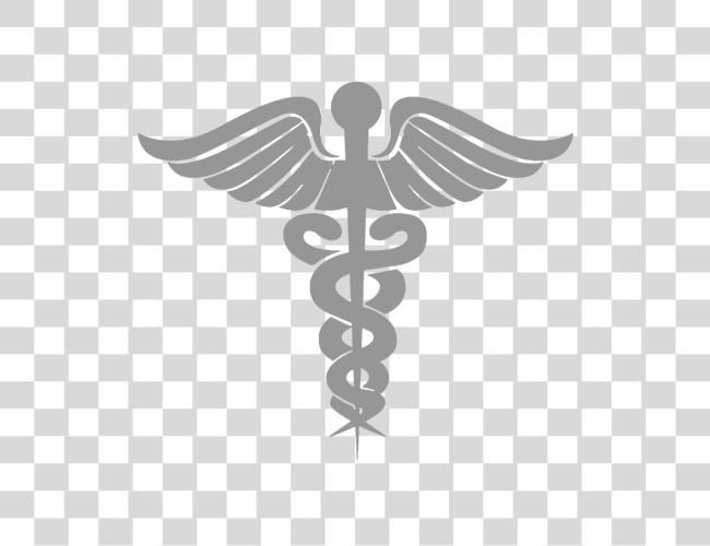 Download Black And White Medical Symbol Medical Symbol Clip Art