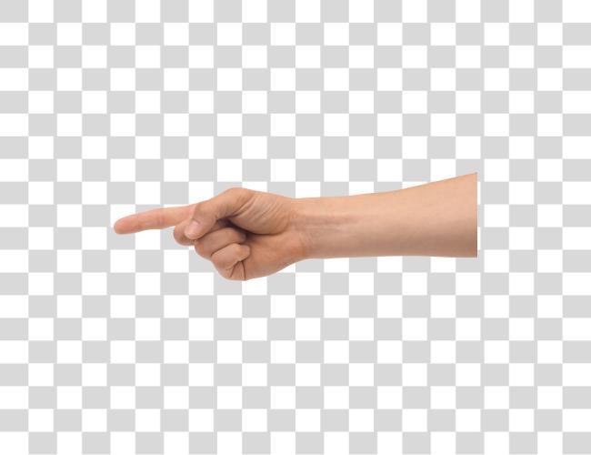 Download Pointing Hand Pointing Finger With Arm Clip Art