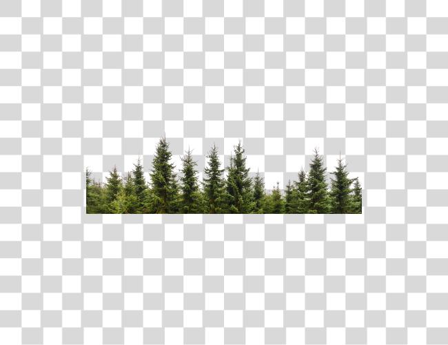 Download Row Of Trees Clip Art