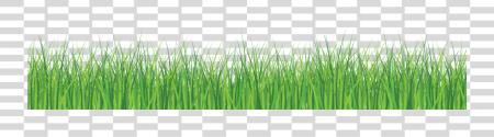 Download Green Line Green Grass White PNG file