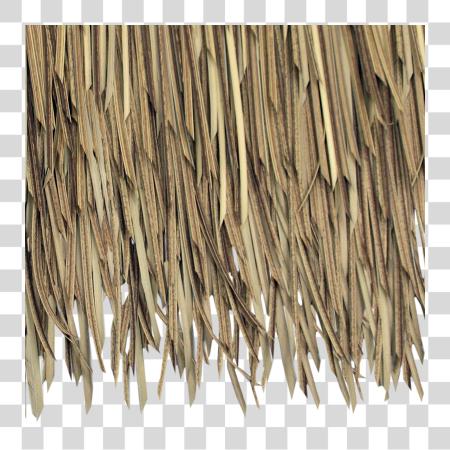 Download Baja Palm Artificial Thatch Close Up Straw Roof Texture PNG file