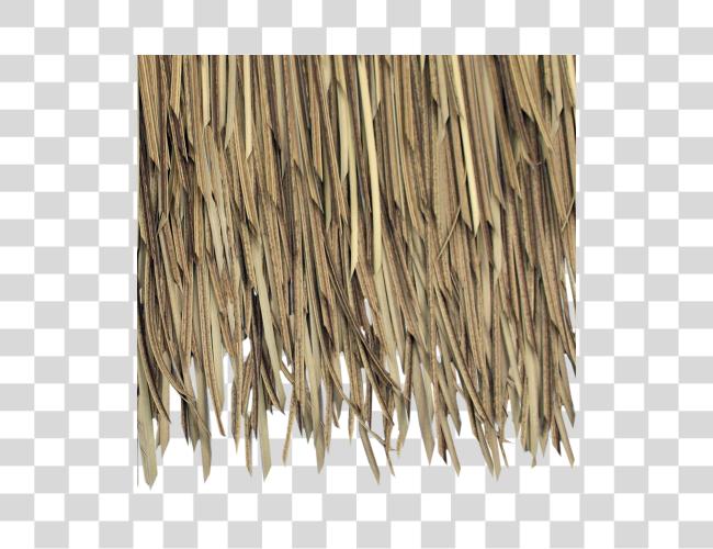 Download Baja Palm Artificial Thatch cerca arriba Straw techo Texture Clip arte