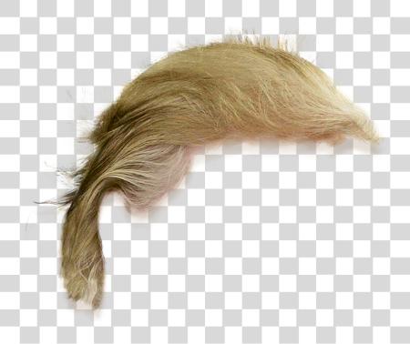 Download Donald Trump cabello PNG file