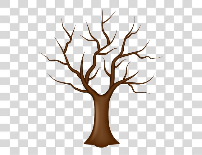 Download Tree Trunk Clip Art