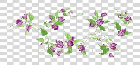 Download Flower Vine PNG file