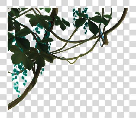 Download Interwoven Vine Jungle PNG file