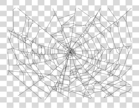 Download Drawn Spider Web Realistic Realistic Spider Web Drawing PNG file