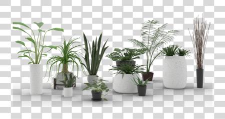 Download Indoor Plants PNG file