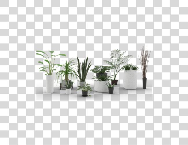 Download Indoor Plants Clip arte