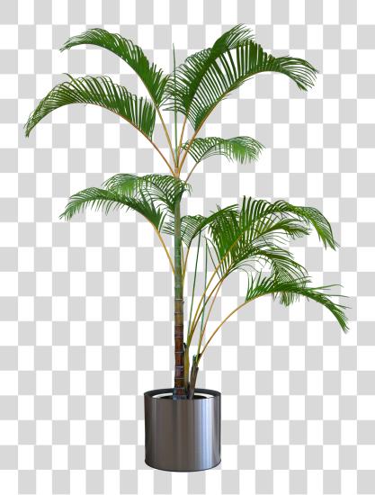 Download Pleasures In Helping Others Indoor Plant PNG file