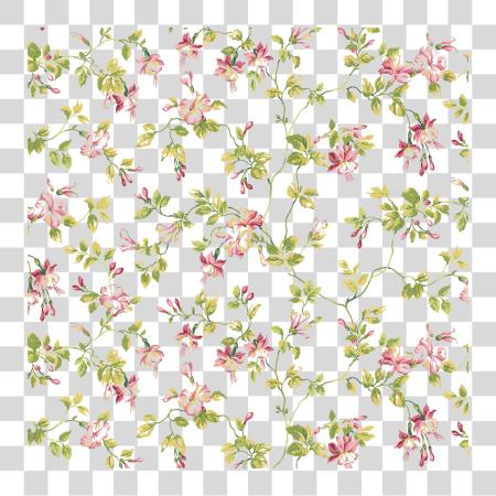 Download flor Image Resolution Shading alto Highresolution alto Resolution floral PNG file