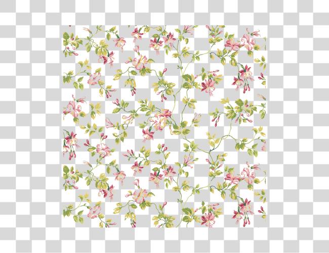 Download flor Image Resolution Shading alto Highresolution alto Resolution floral Clip arte