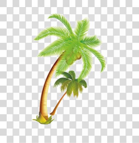 下载 Palm Trees 卡通 PNG file