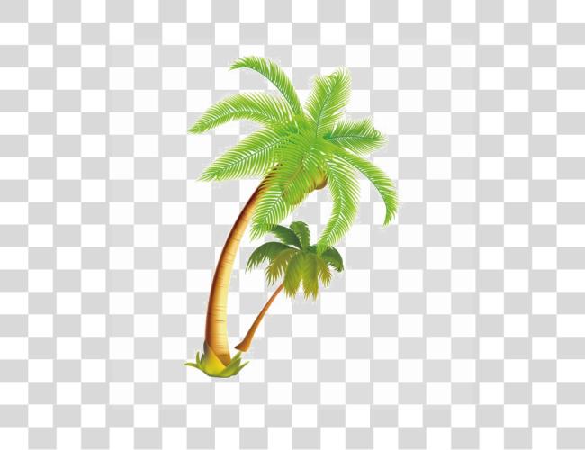 Download Palm Trees cartoon Clip Art