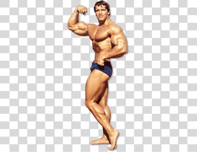 Download Bodybuilding File Arnold Schwarzenegger Clip Art