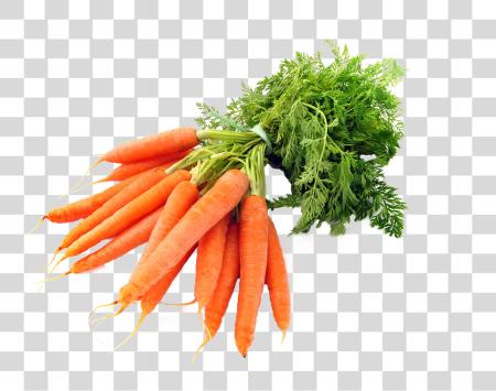 下载 Carrot PNG file