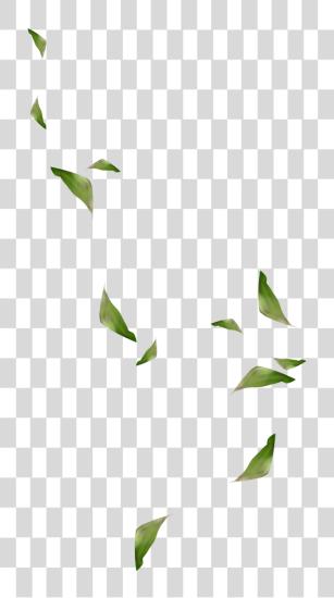 Download Mq Green Leaf Leaves Falling Decoration Illustration PNG file