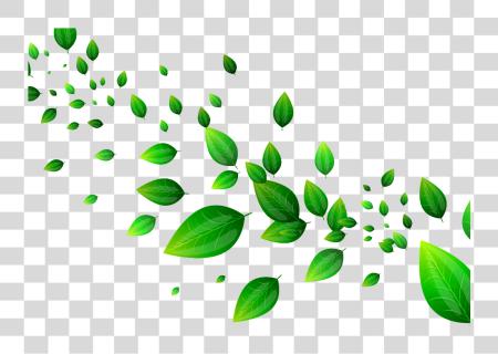 Download Mq Green Leaves Garden Green Falling Border PNG file