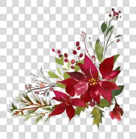 تحميل Poinsettia Flourishes Watercolor Christmas زهرة بي ان جي ملف