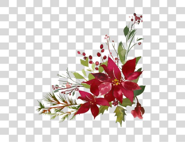 Download Poinsettia Flourishes Watercolor Christmas Flower Clip Art