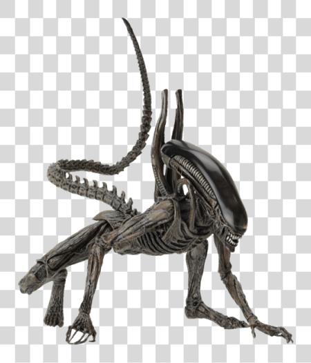 Download Xenomorph Alien Xenomorph PNG file