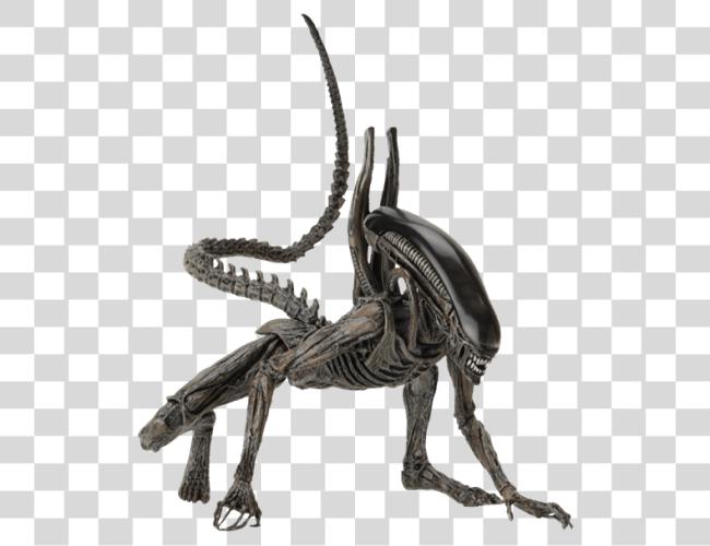 Download Xenomorph Alien Xenomorph Clip Art