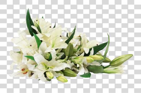 Download White Lily Bouquet White Lily Flowers PNG file