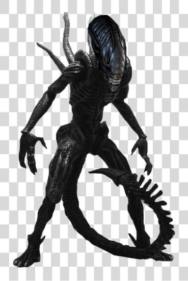 Download 2 Xenomorph Alien Franchise Xenomorph PNG file