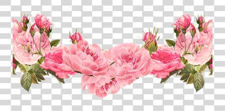 Download rosa Borders colección Pink flor Border PNG file