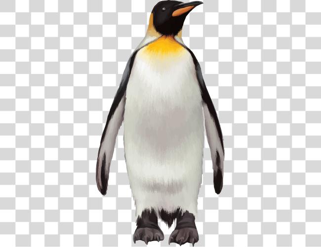 Download Penguin Penguin Clip Art