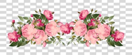 Download Image Information Vintage Flower Border PNG file