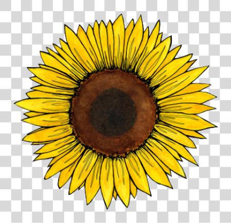 Download Travel Vol Ii Aesthetic Sunflower Sticker PNG file