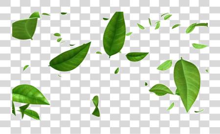 Download Green Leaf Green Leaves Falling Background PNG file