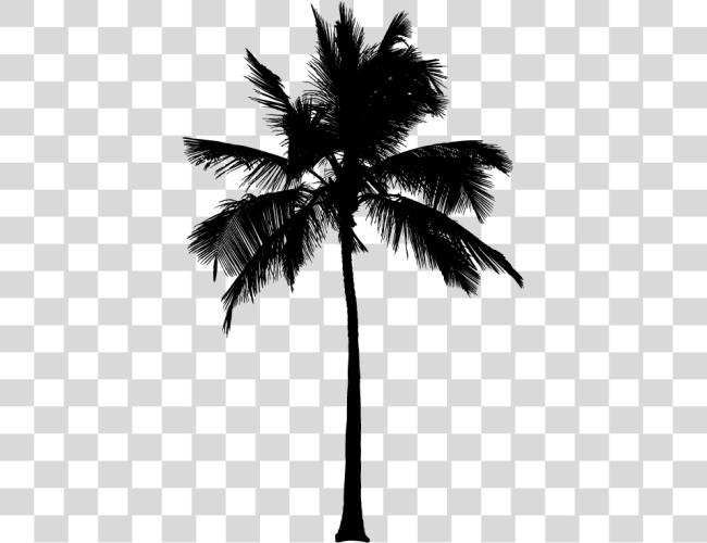 Download Quince negro y blanco Palm Tree para en Mbtskoudsalg 80s Palm Tree Clip arte